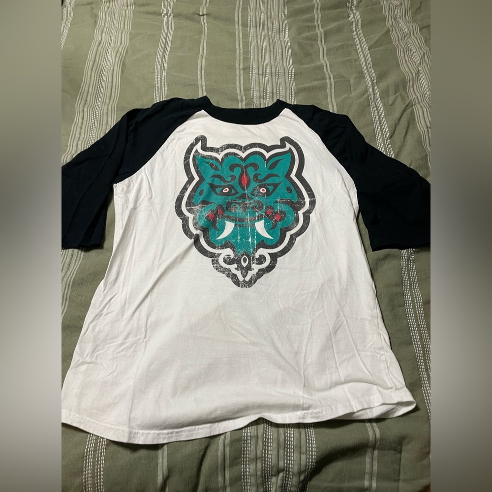 Disney expedition Everest shirt